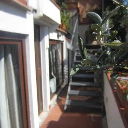 Tatil Evi Casa